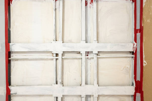 Allen, TX Mold Removal Company